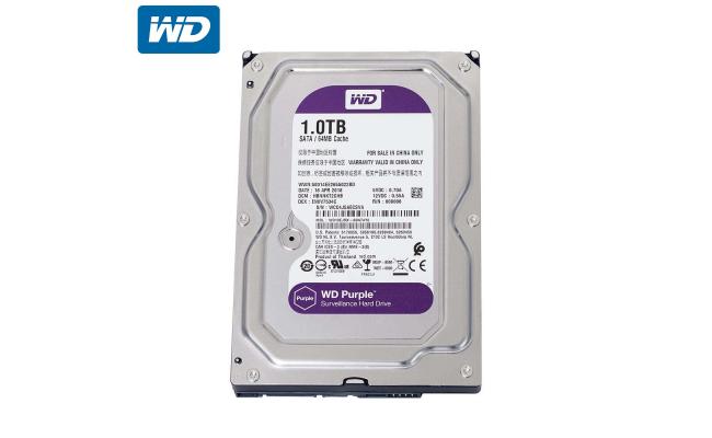 Hard Disk Internal 3.5' - 1TB SATA Purple